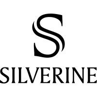 Silverine Inc logo - Similar company to Piso 4