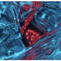 The Scientist Whisperer logo - Similar company to Hugimals World