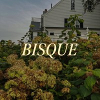 BISQUE Interior Design logo - Similar company to Remarkable Solar