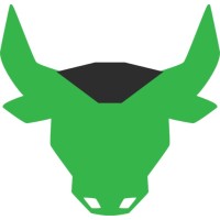 Designing Bulls logo - Similar company to Digigens