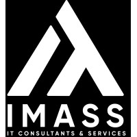 Imass Solutions logo - Similar company to Nicube Consulting
