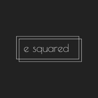 e squared logo - Similar company to Bloomag, Inc.