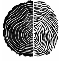 The Nature Collective logo - Similar company to Energized.Org