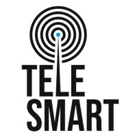 Telesmart telecommunications and IT services logo - Similar company to Tech Vitality Solutions Llc
