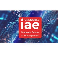 Master MSI Grenoble IAE logo - Similar company to Master Msi Orléans