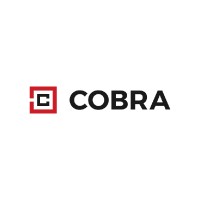 Cobra logo - Similar company to Cobra