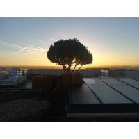 Vert Altitude logo - Similar company to Valpré Lyon