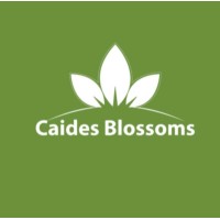 Caides Blossoms logo - Similar company to Mustashar - مستشار