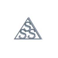 Ships Surveys and Service logo - Similar company to Sincom S.R.L.