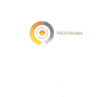 Ingensoma Trading Group Ltd