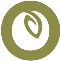 Oliveclub