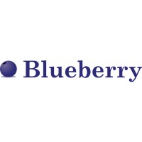 Blueberry Business Support Limited logo - Similar company to Nippon Data Consulting