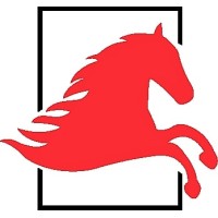 CHEMTECH ADHESIVE INDUSTRY L.L.C logo - Similar company to Iran Adhesive Co