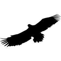 GoCondor logo - Similar company to Penny Inc