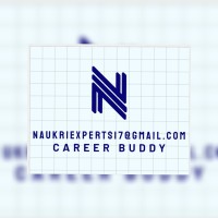 Naukri Experts logo