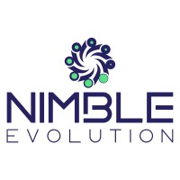 Nimble Evolution logo - Similar company to 3Layer Tecnologia