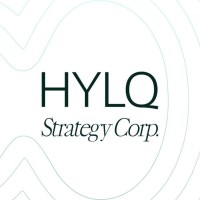 HYLQ Strategy ($HYLQ) logo - Similar company to Mindscriber