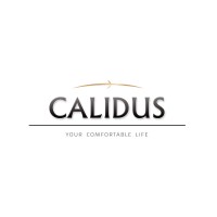 Calidus.eu logo - Similar company to Jlvm