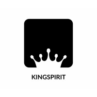 Kingspirit logo - Similar company to Progressive Action Network