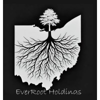 EverRoot Holdings logo - Similar company to Chikol - Professional Turnaround Assistance - 