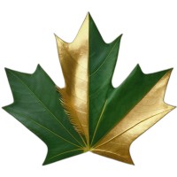 MintLedger logo - Similar company to Plusrite Australia Pty Ltd