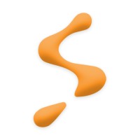 Synergies Ltd.