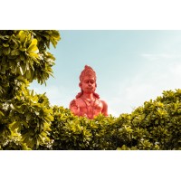 Shiva Electricals logo - Similar company to Applied Power Systems