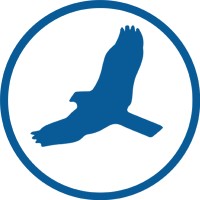 HawkSoft logo - Similar company to Canopy Connect