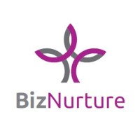 BizNurture Financial Services Limited logo - Similar company to Midas Bloom Inc