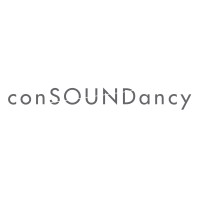 Consoundancy logo - Similar company to Ckho Architect