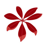 Clair Advisors logo - Similar company to Deefin Advisory Llp