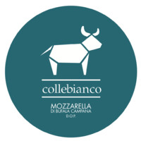 Caseificio Collebianco logo - Similar company to Caseificio La Cava