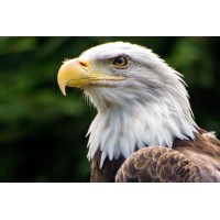 Infrastructure Project Worker™ logo - Similar company to Sg Infrastructure Developers & Contractor