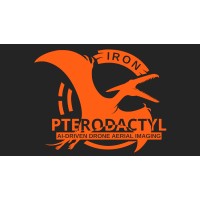 Iron Pterodactyl logo - Similar company to Supersync.Ai