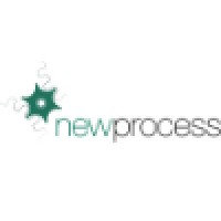 Newprocess - Inovação & Consultoria