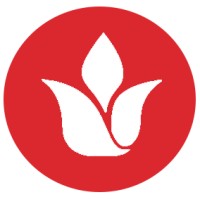 Lily Agency logo - Similar company to Ideas Creativas