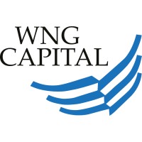 WNG Capital LLC logo - Similar company to 2Up Systems