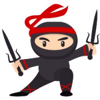 Workplace Ninjas Canada logo - Similar company to Ontime - Time Keeping For Live Events