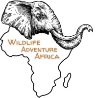Wildlife Adventure Africa logo - Similar company to Ctv & Associates