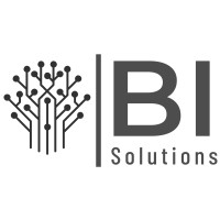 BISolutionsrd logo - Similar company to Softwy