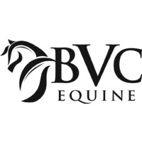 BVC Equine