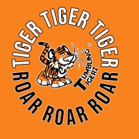 Tumbling Tigerz (PTY)ltd logo - Similar company to 5Hc Systems Ltd