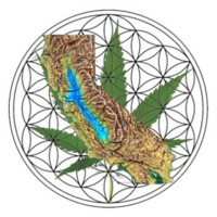 NorCal CGA (Cannabis Growers Association) logo - Similar company to Lewis Architectural Design Studio
