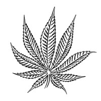 Hash Marihuana & Hemp Museum logo - Similar company to Miniguide
