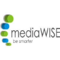 Mediawise Marketing Strategies