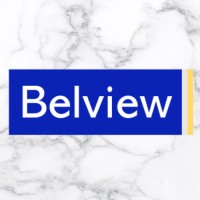 Belview logo - Similar company to Brightwise (Manchester) Limited