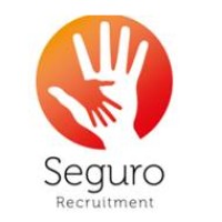 Seguro Recruitment Ltd