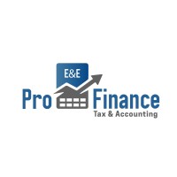 PRO Finance E&E logo - Similar company to Accounting Wit