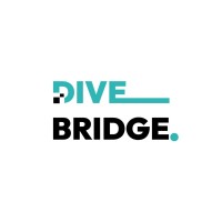 DiveBridge logo - Similar company to Hamlytic Digital