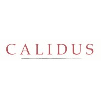 Calidus logo - Similar company to Calidus Consulting